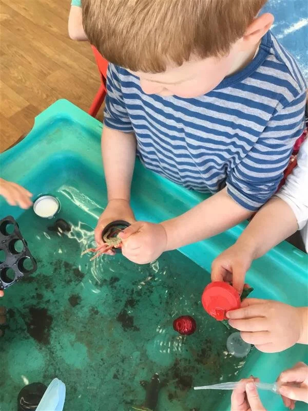 Sorting the “ocean” for the animals.