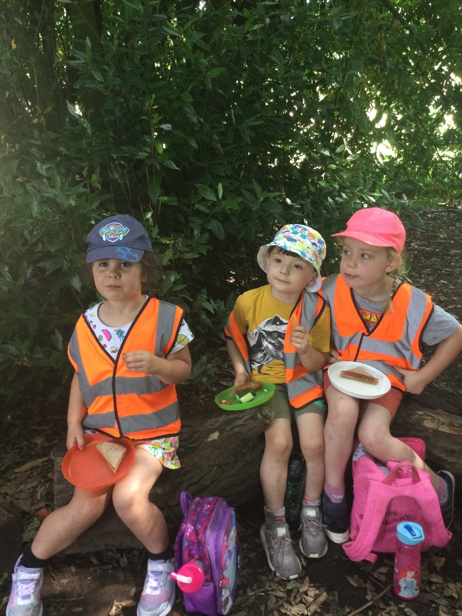 MicrosoftTeams-image (1).png