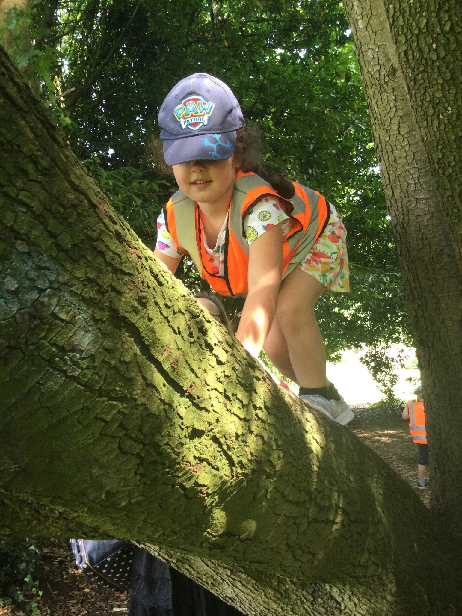 MicrosoftTeams-image (2).png