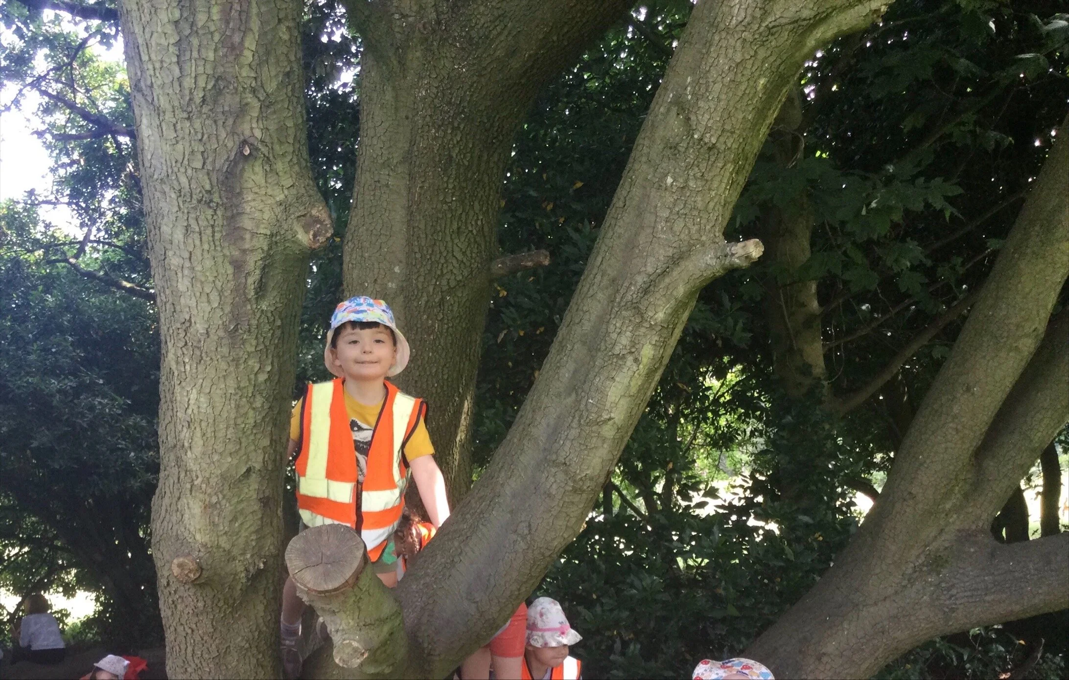 MicrosoftTeams-image (3).png