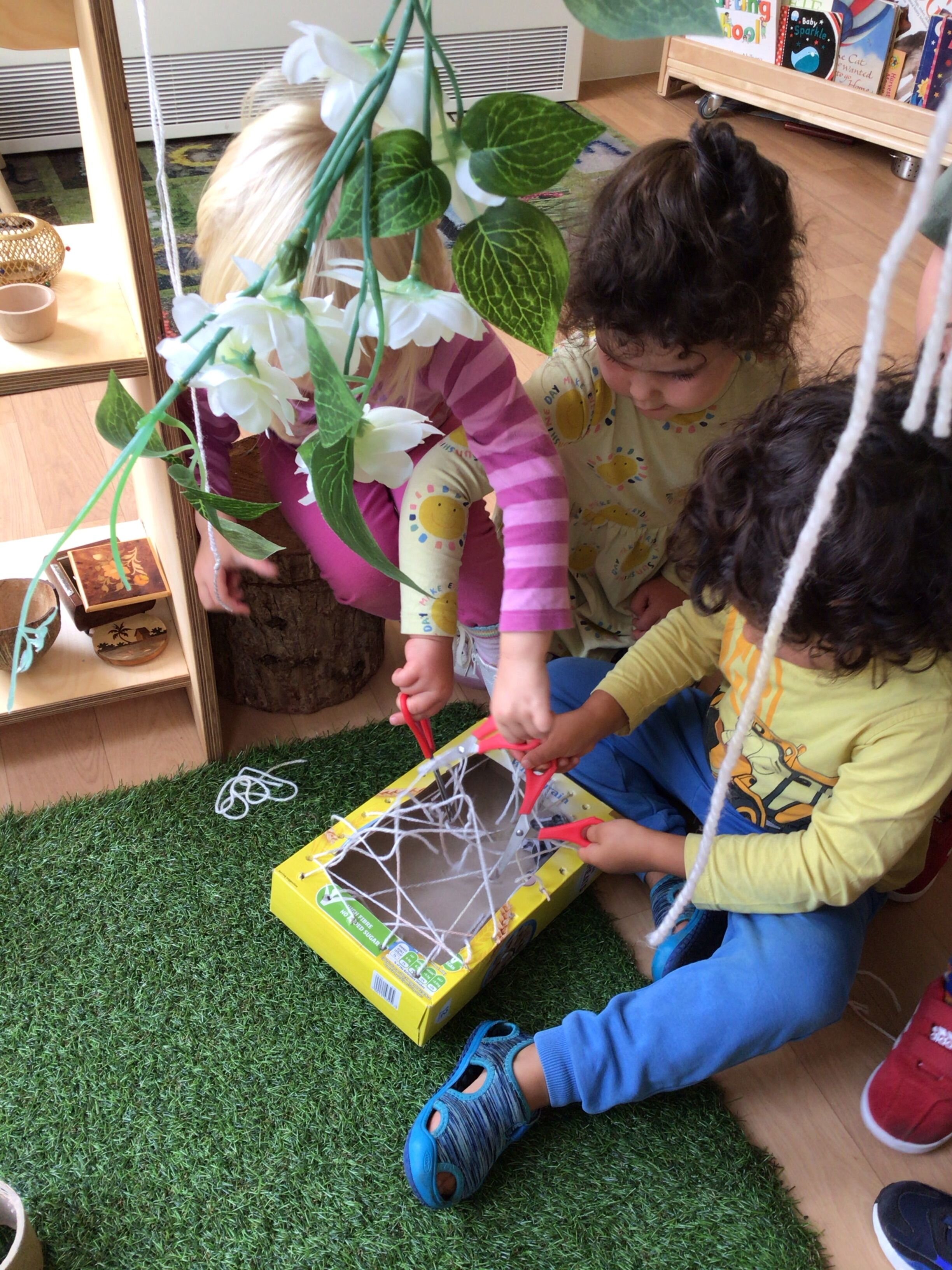 Animal of the week 6.jpeg