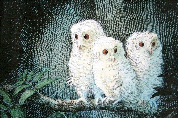4-Owl-Babies.jpg