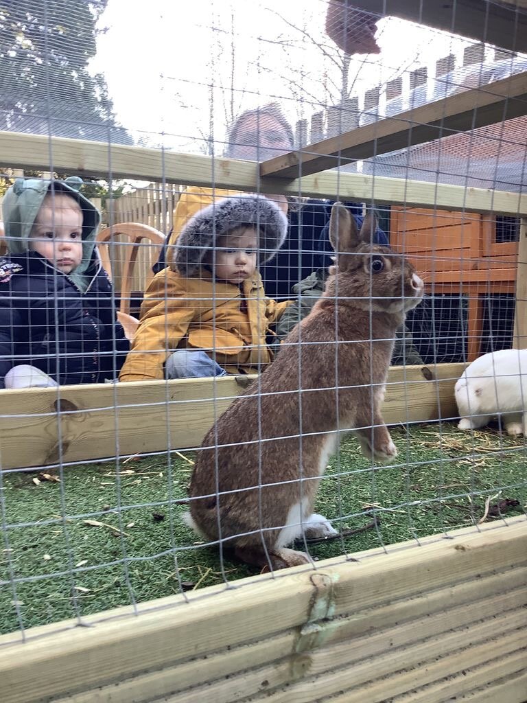 MicrosoftTeams-image (4).png