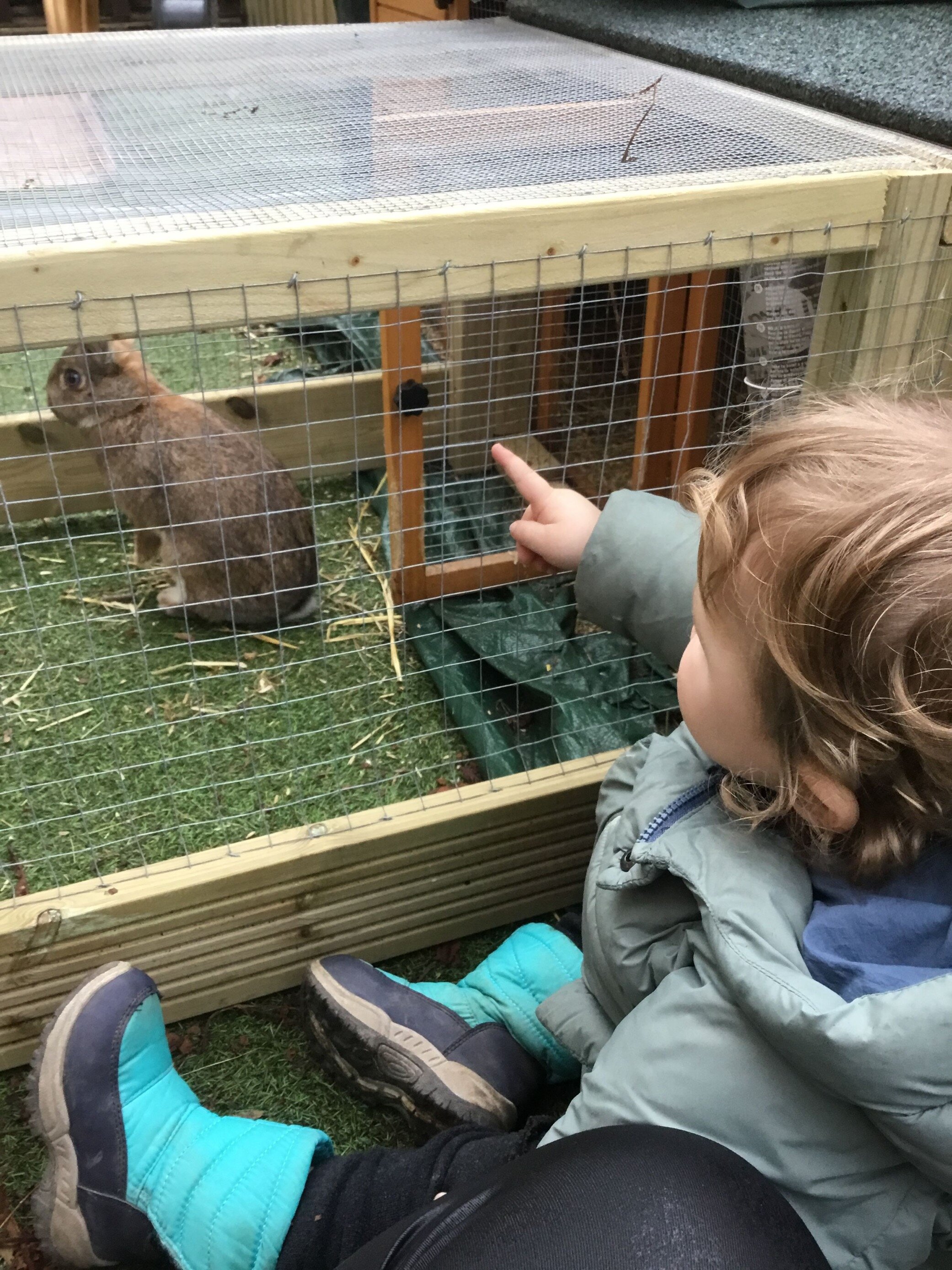 MicrosoftTeams-image (3).png