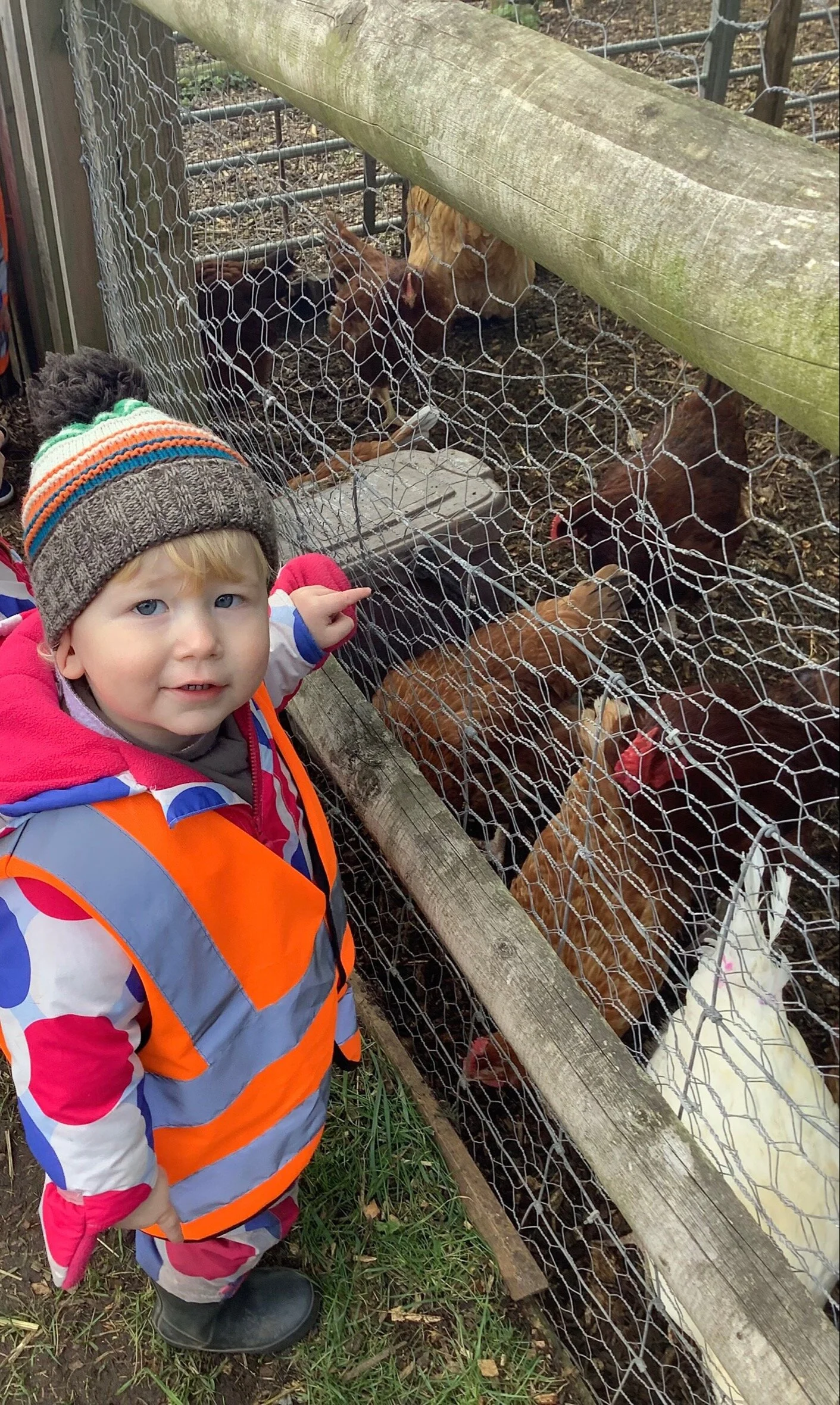 MicrosoftTeams-image (6).png