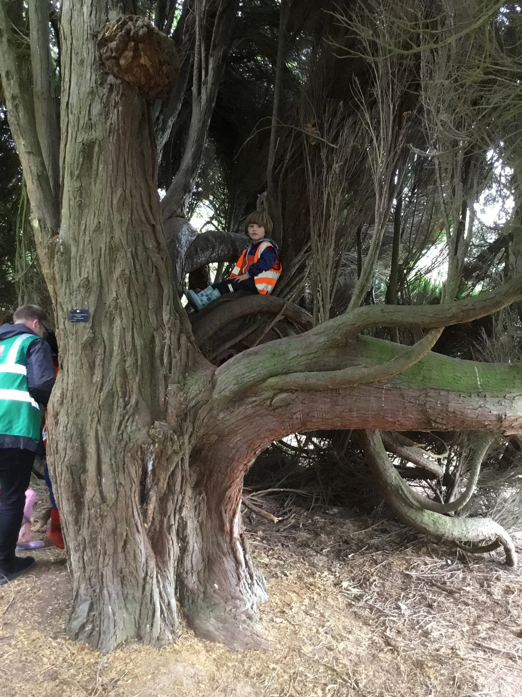 MicrosoftTeams-image (61).png