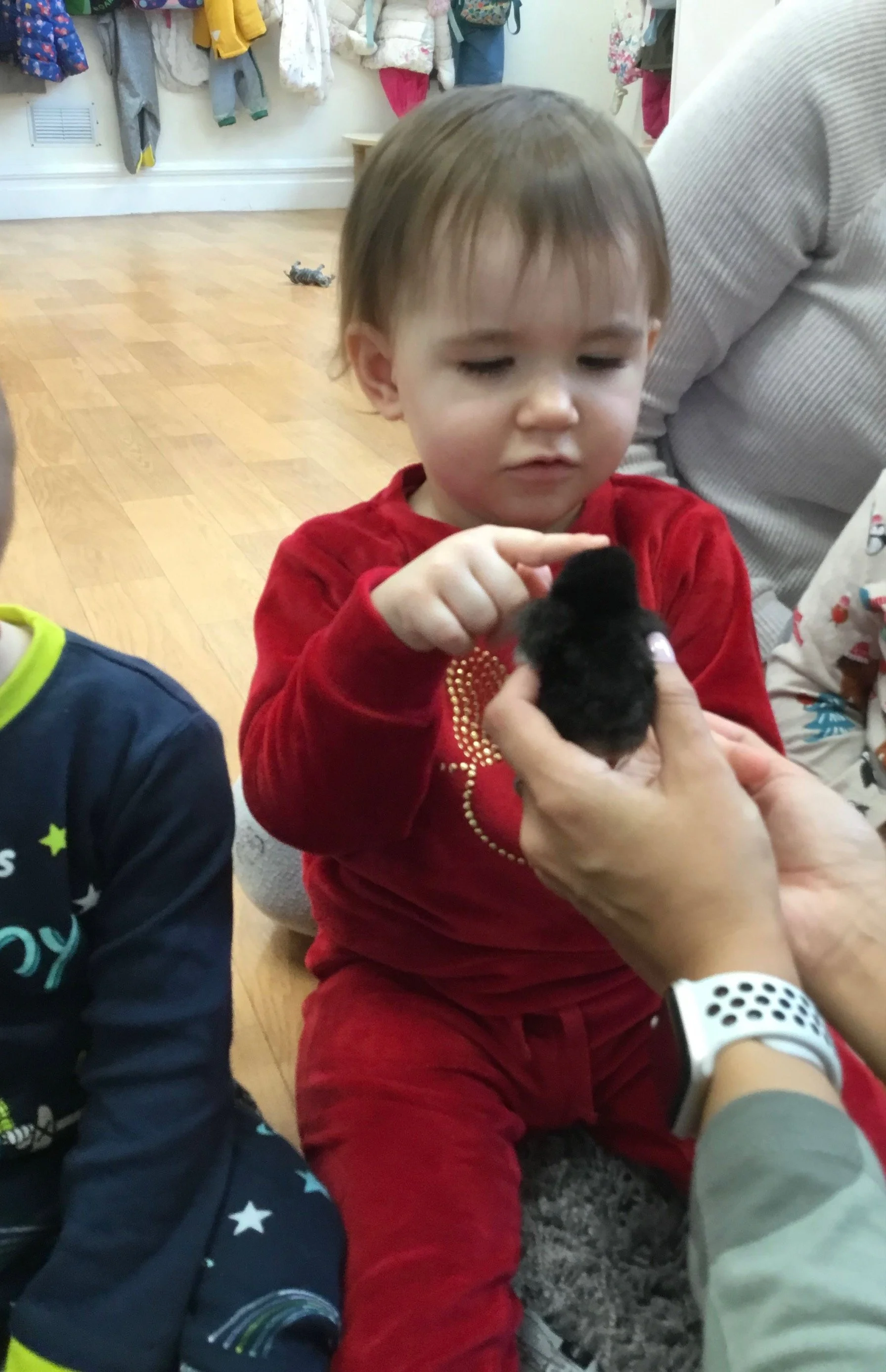 MicrosoftTeams-image (1).png