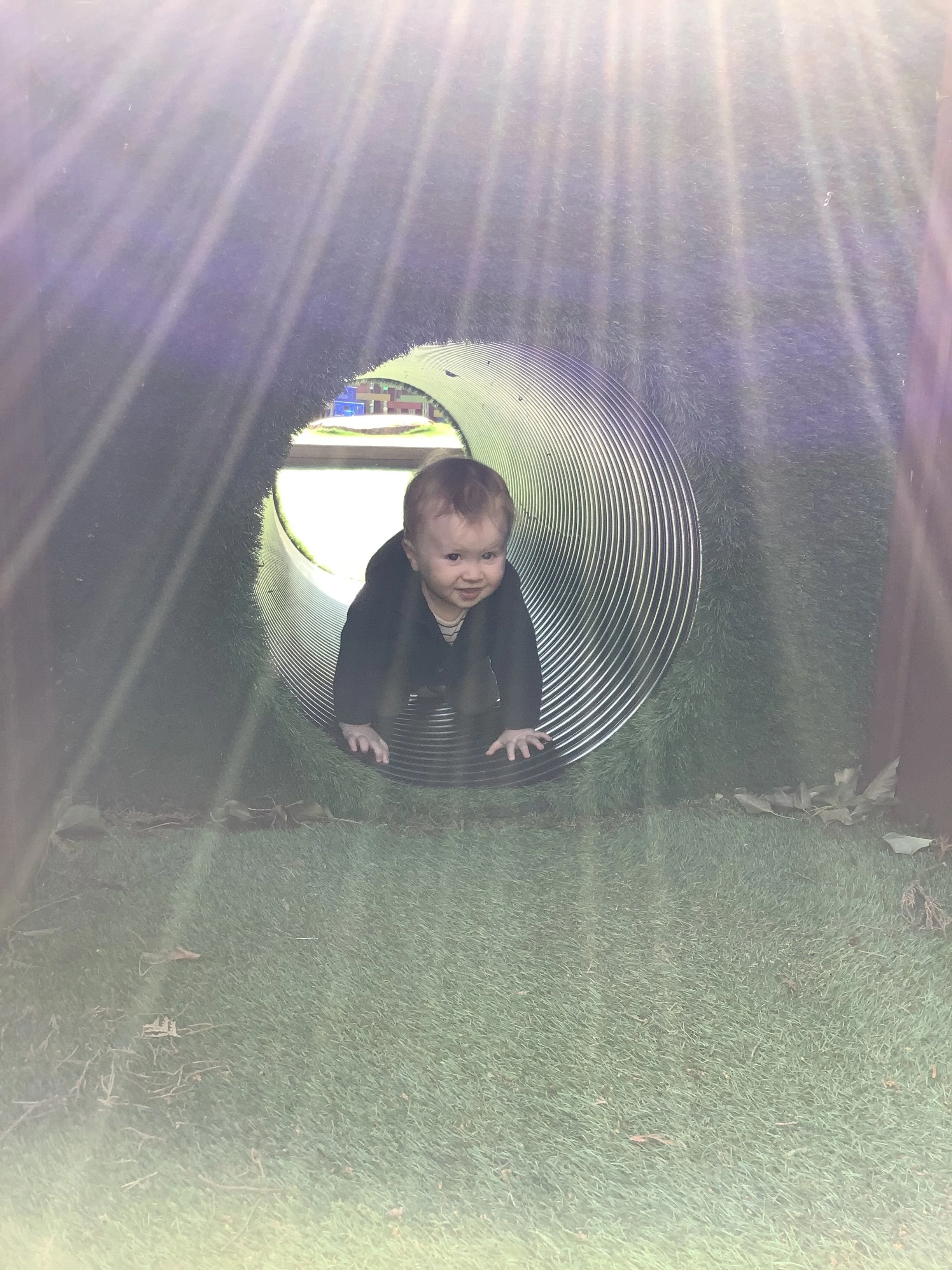 Arlo griffiths.jpeg