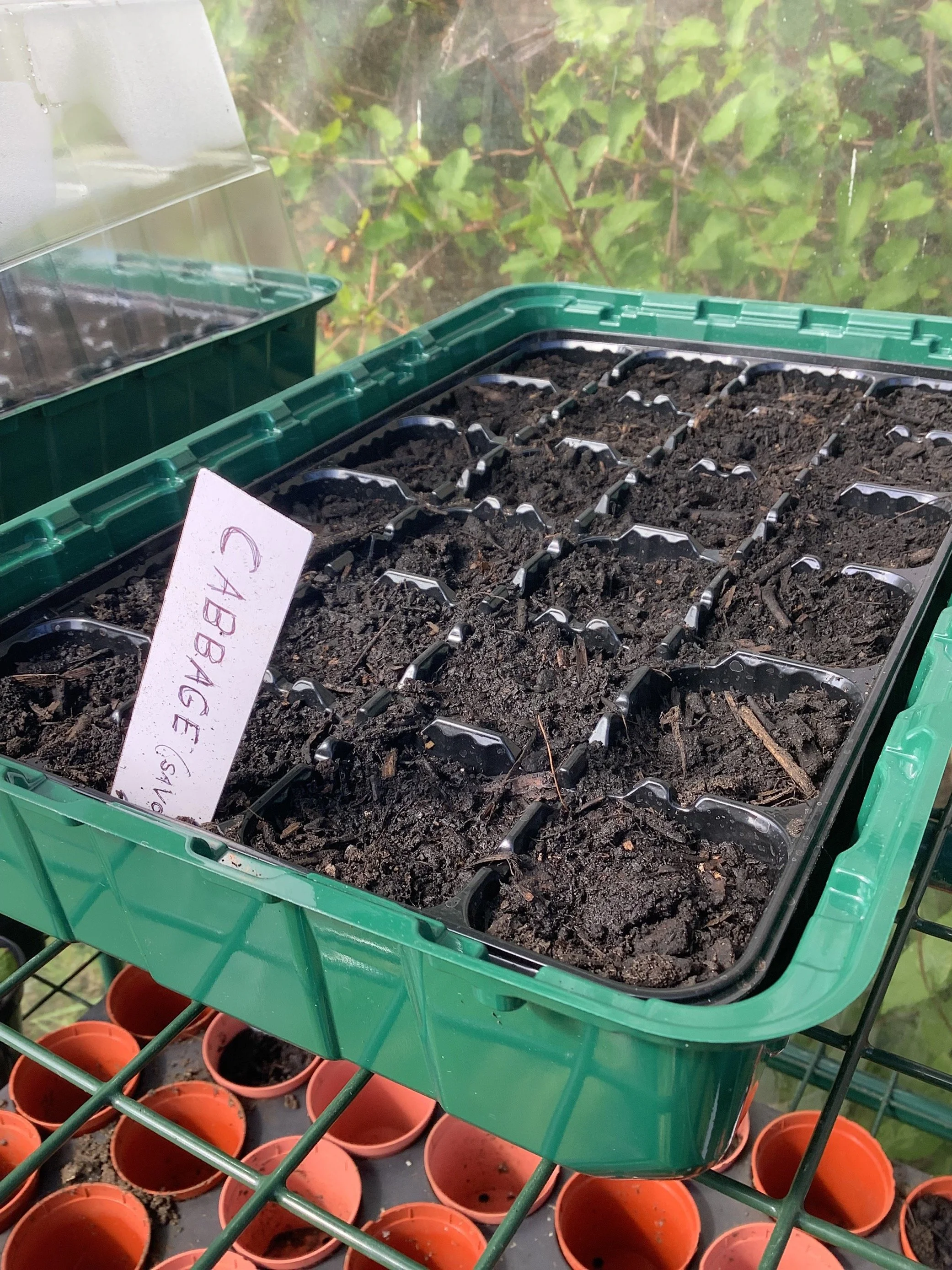 MicrosoftTeams-image (2).png