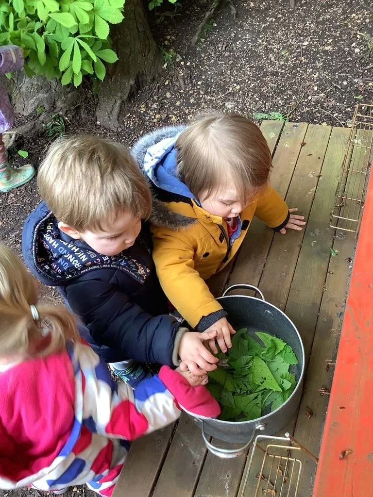 MicrosoftTeams-image (4).png