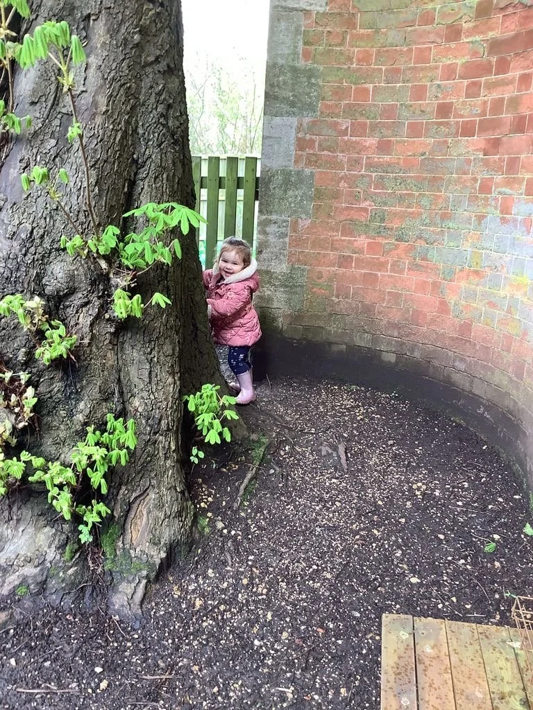 MicrosoftTeams-image (1).png