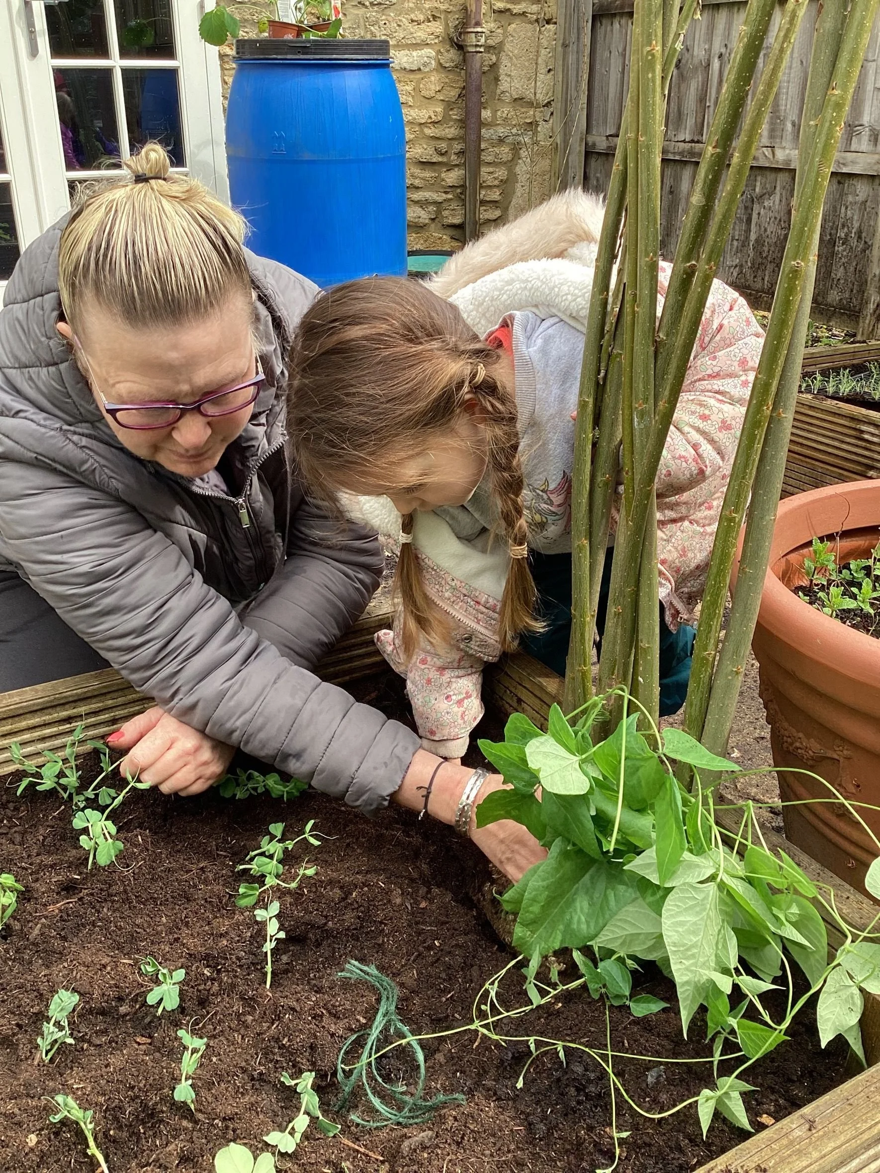 Veg patch 2.jpeg