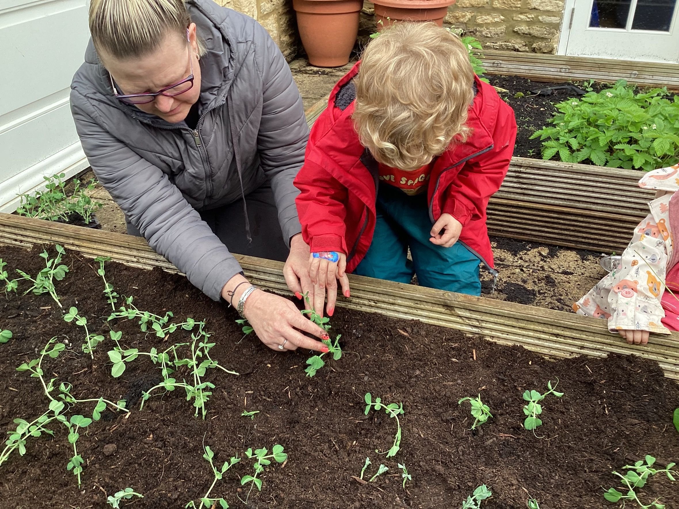 Veg patch 3.jpeg