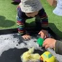1038890.jpg