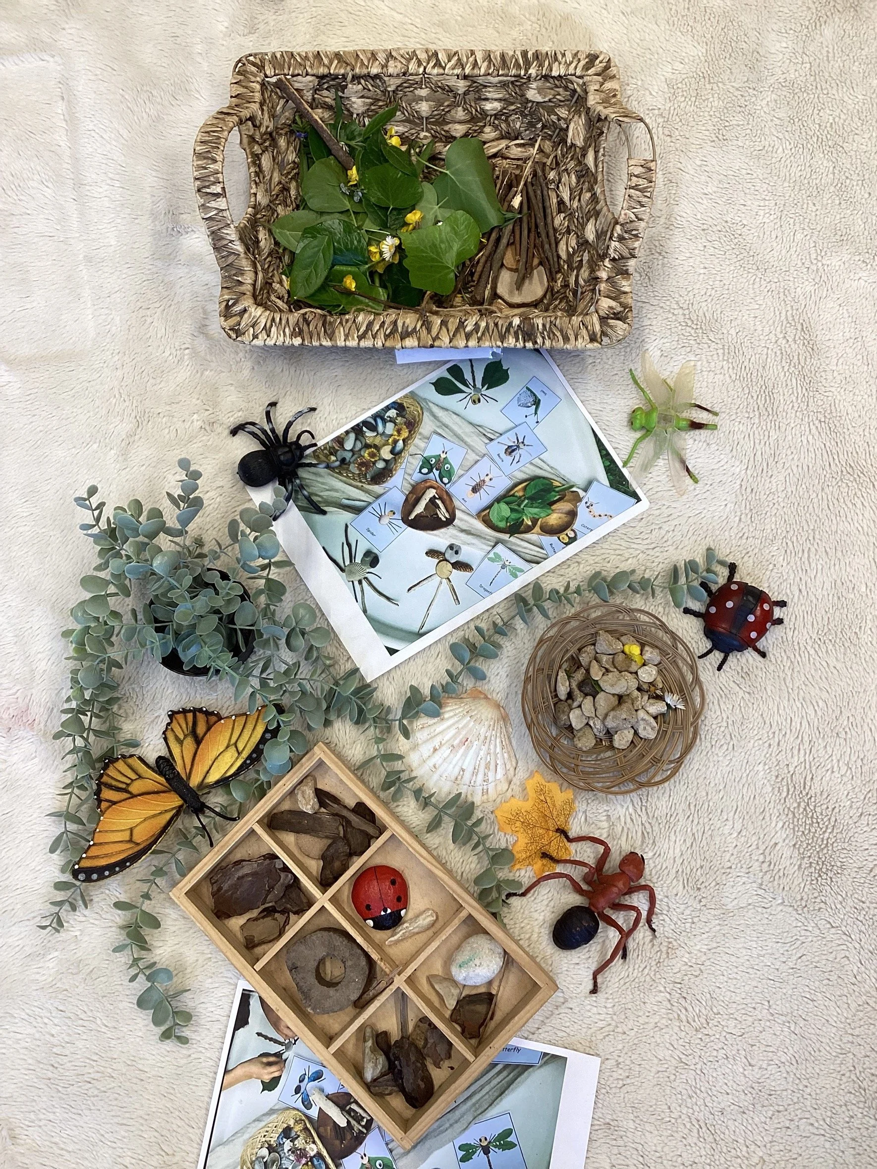 MicrosoftTeams-image (3).png