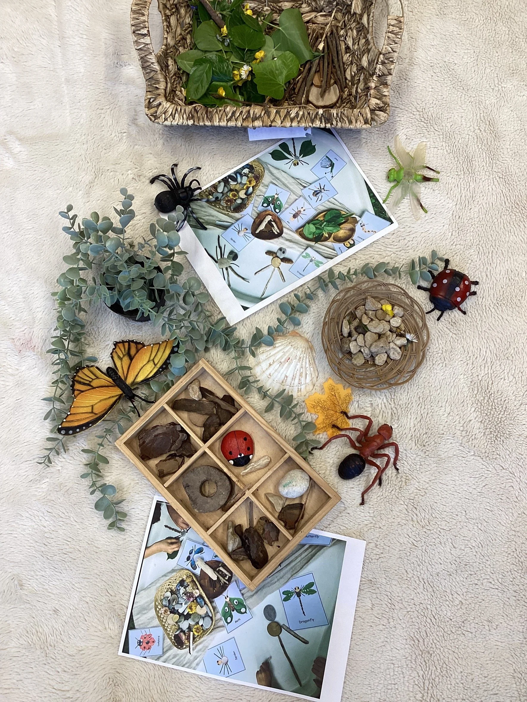 MicrosoftTeams-image (2).png