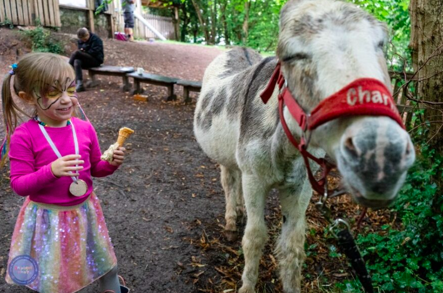 Screenshot 2023-08-25 at 14.13.31.png