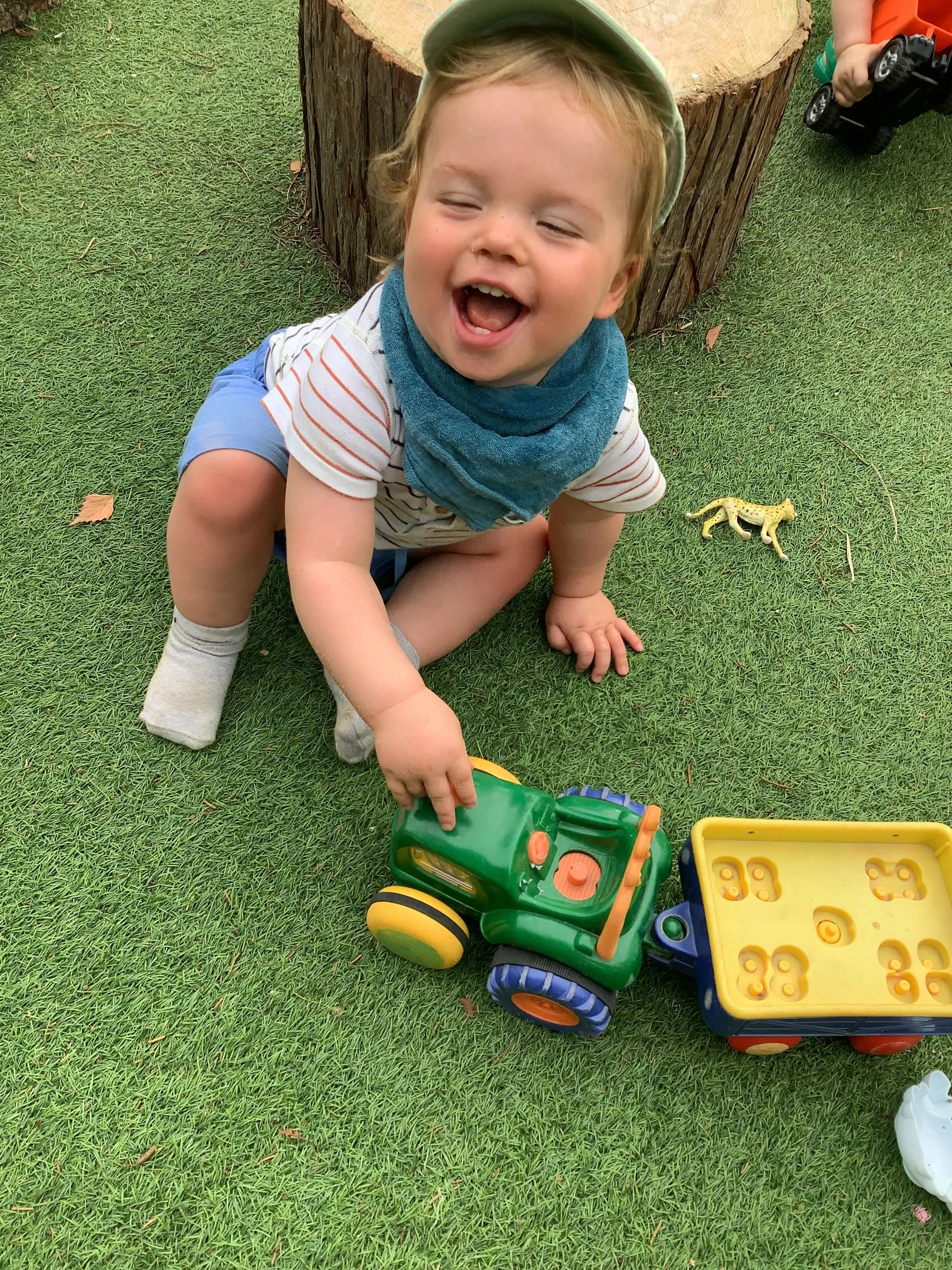 rory.jpeg