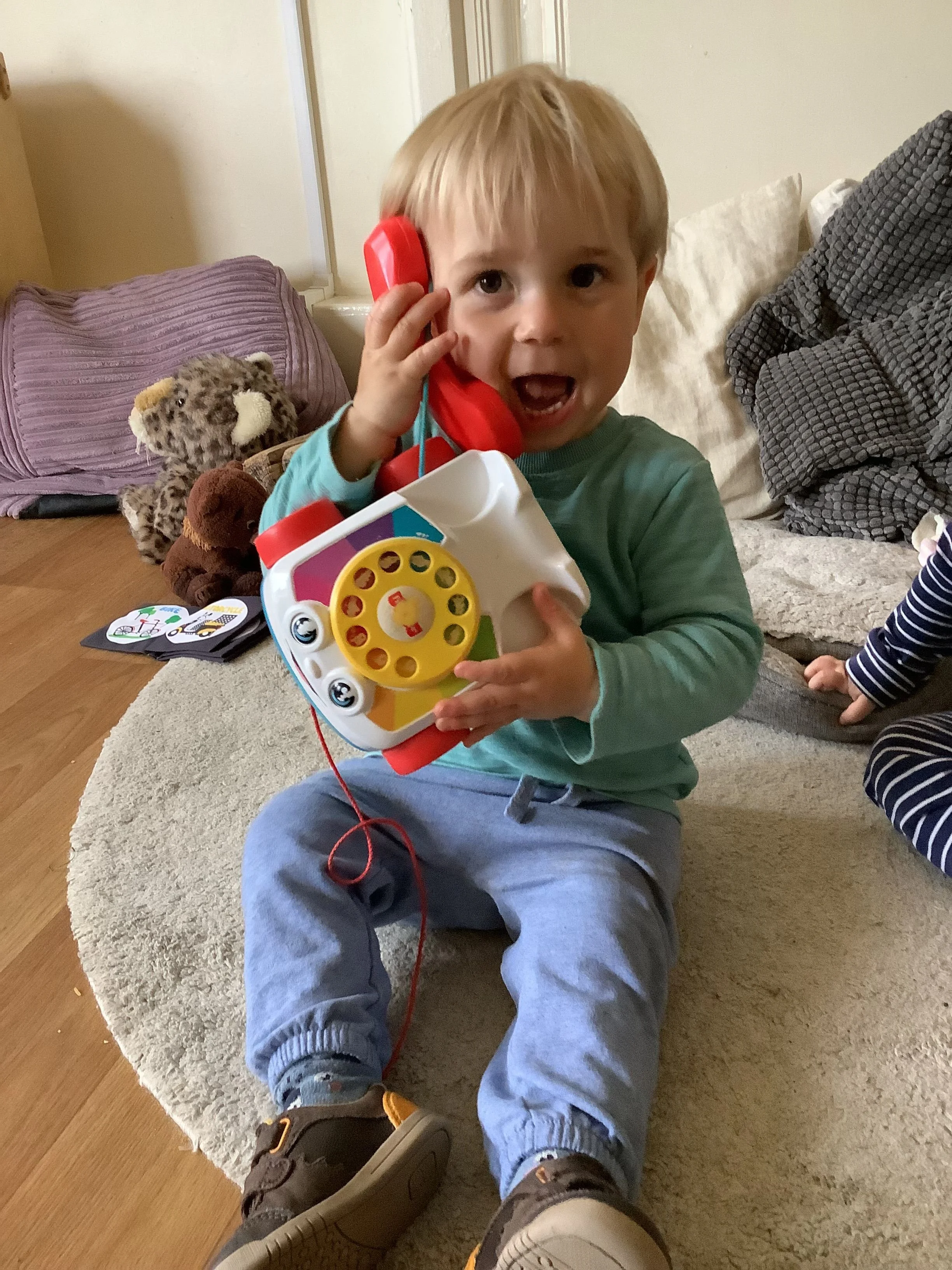 bertie newsletter.jpeg