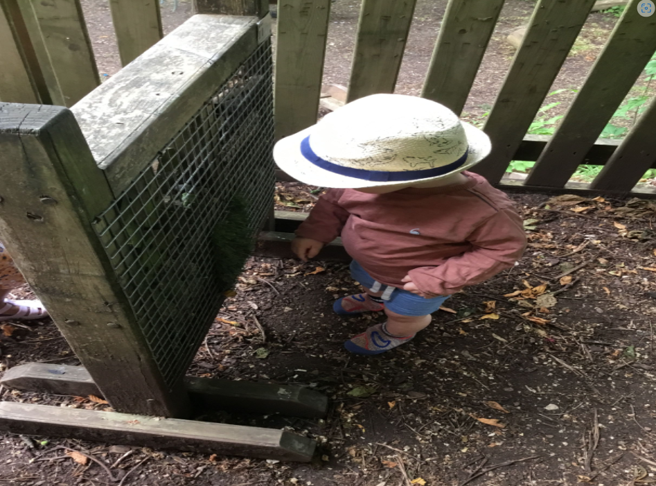 Screenshot 2024-05-31 at 09.41.14.png