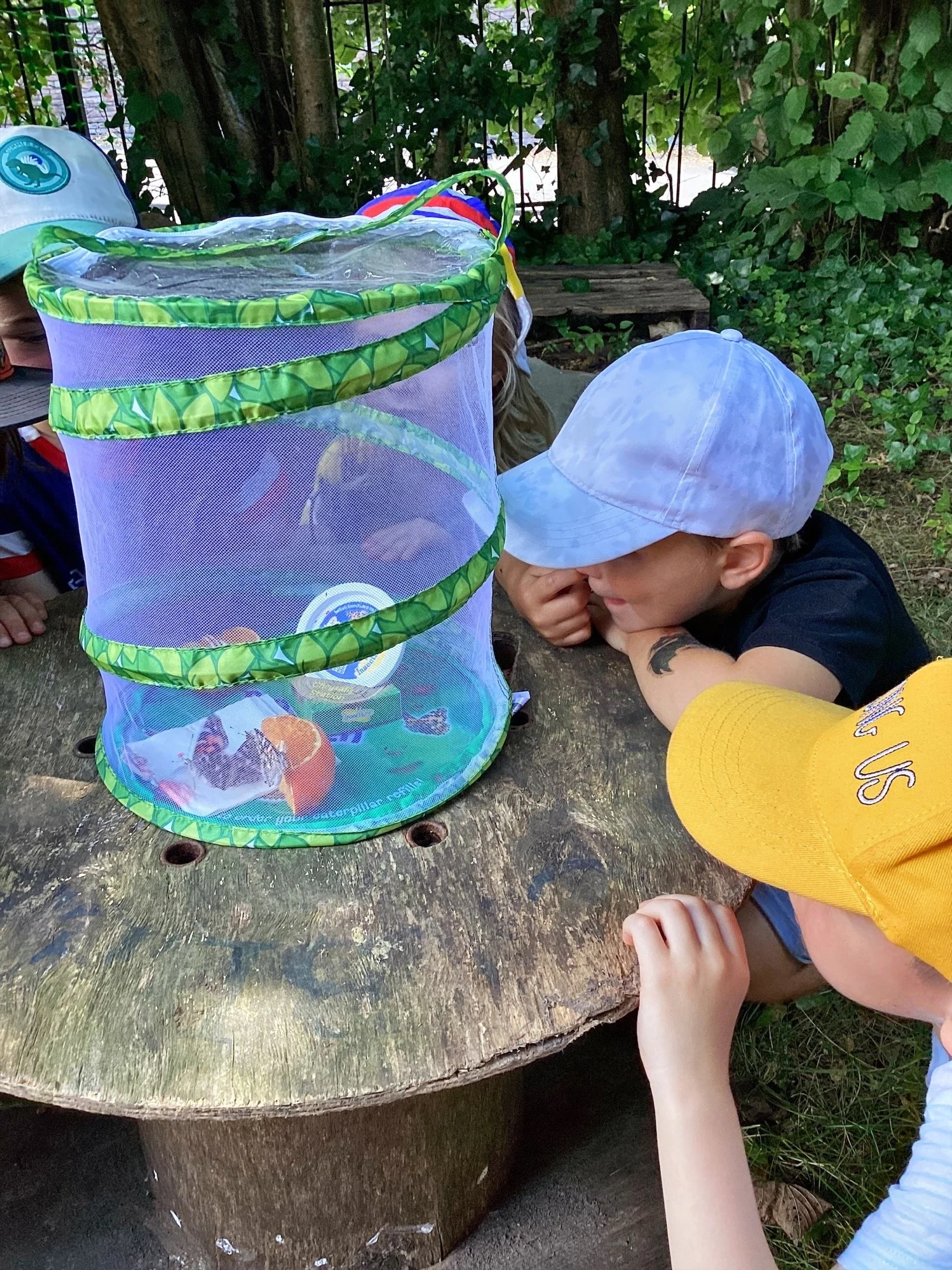 MicrosoftTeams-image (21).png