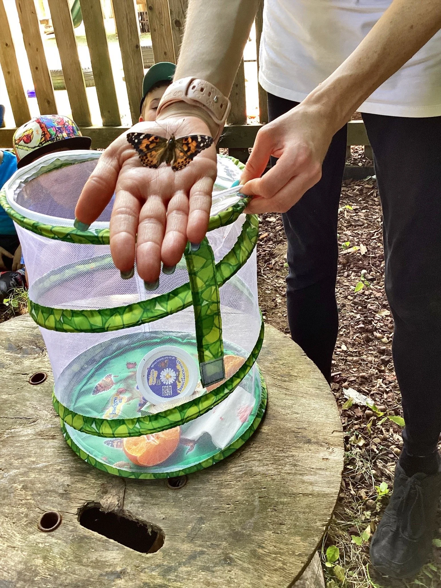 MicrosoftTeams-image (22).png