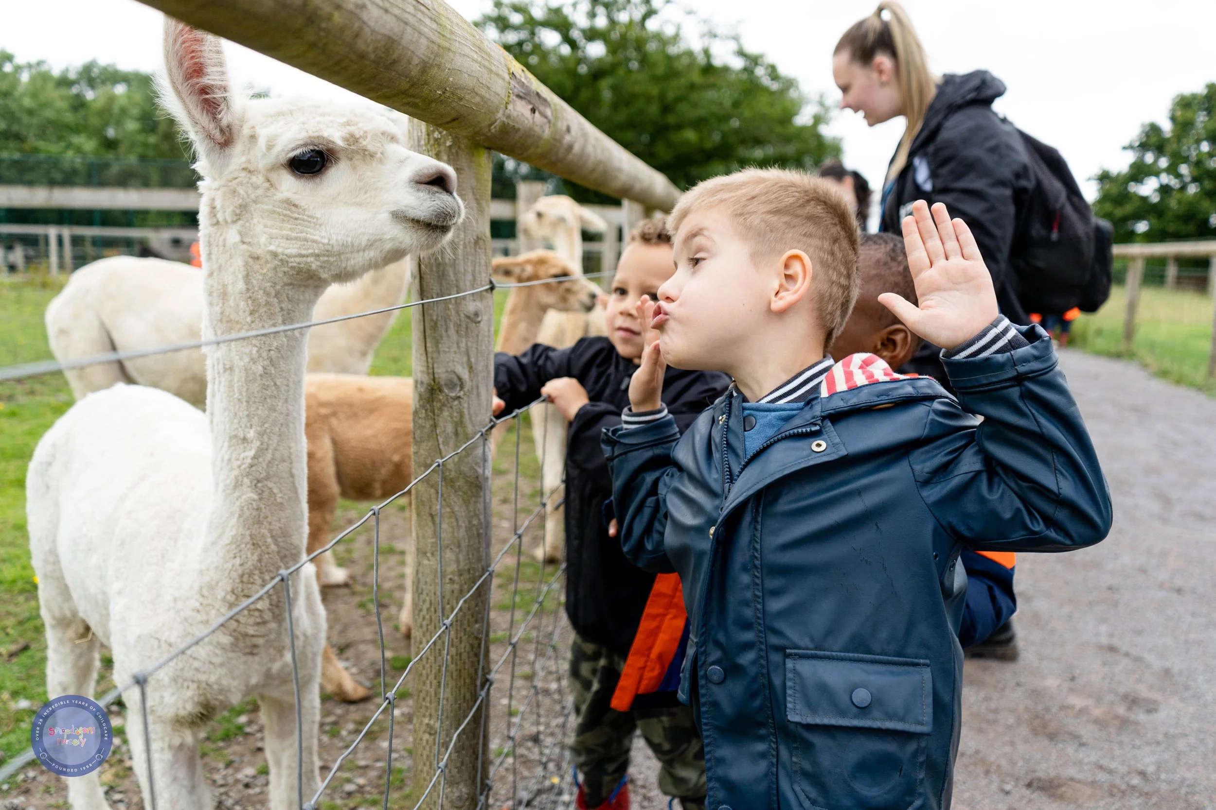 Cattle Country 2024-03386.jpg