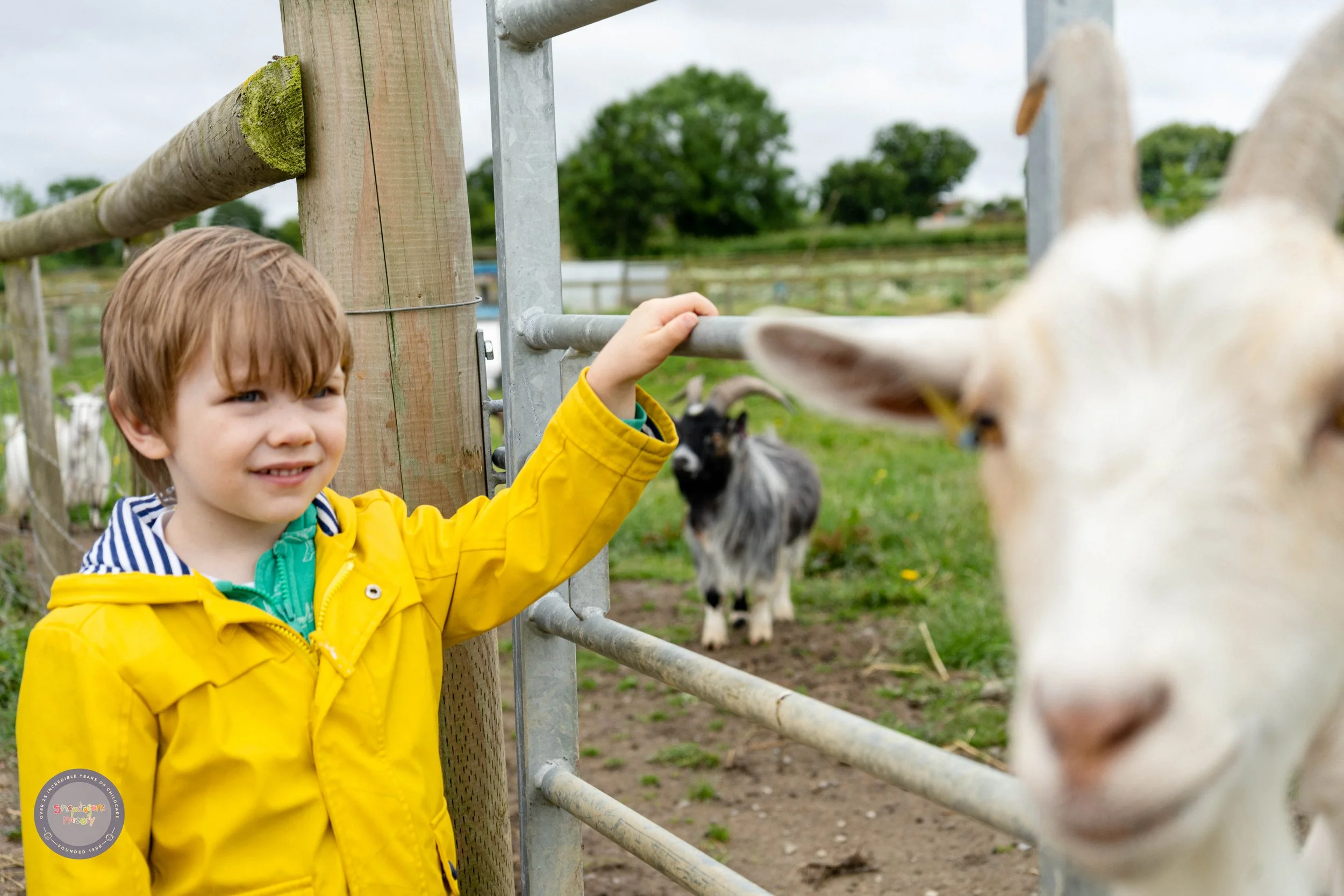 Cattle Country 2024-03369.jpg