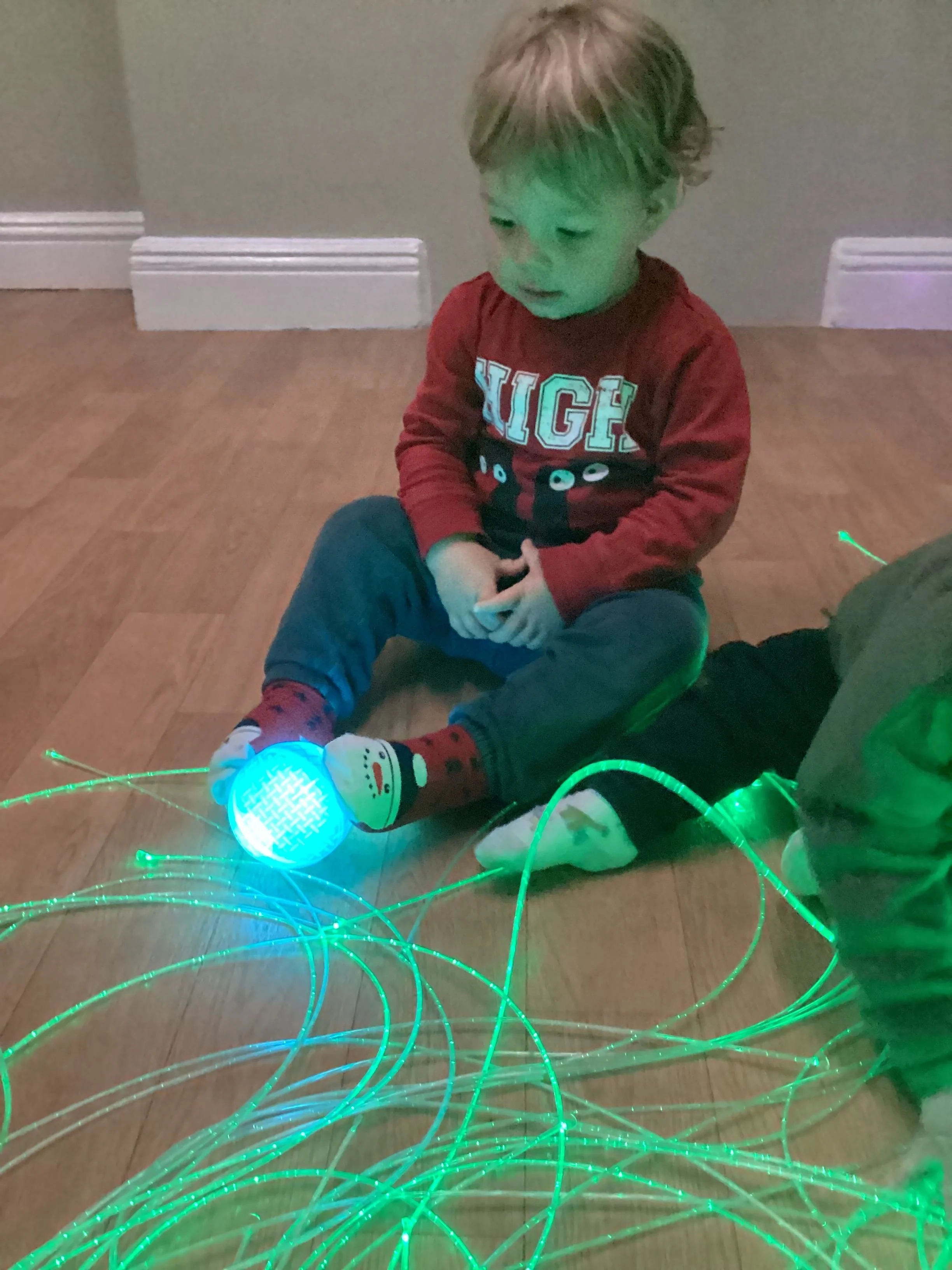 Newsletter 2- Babies.jpeg