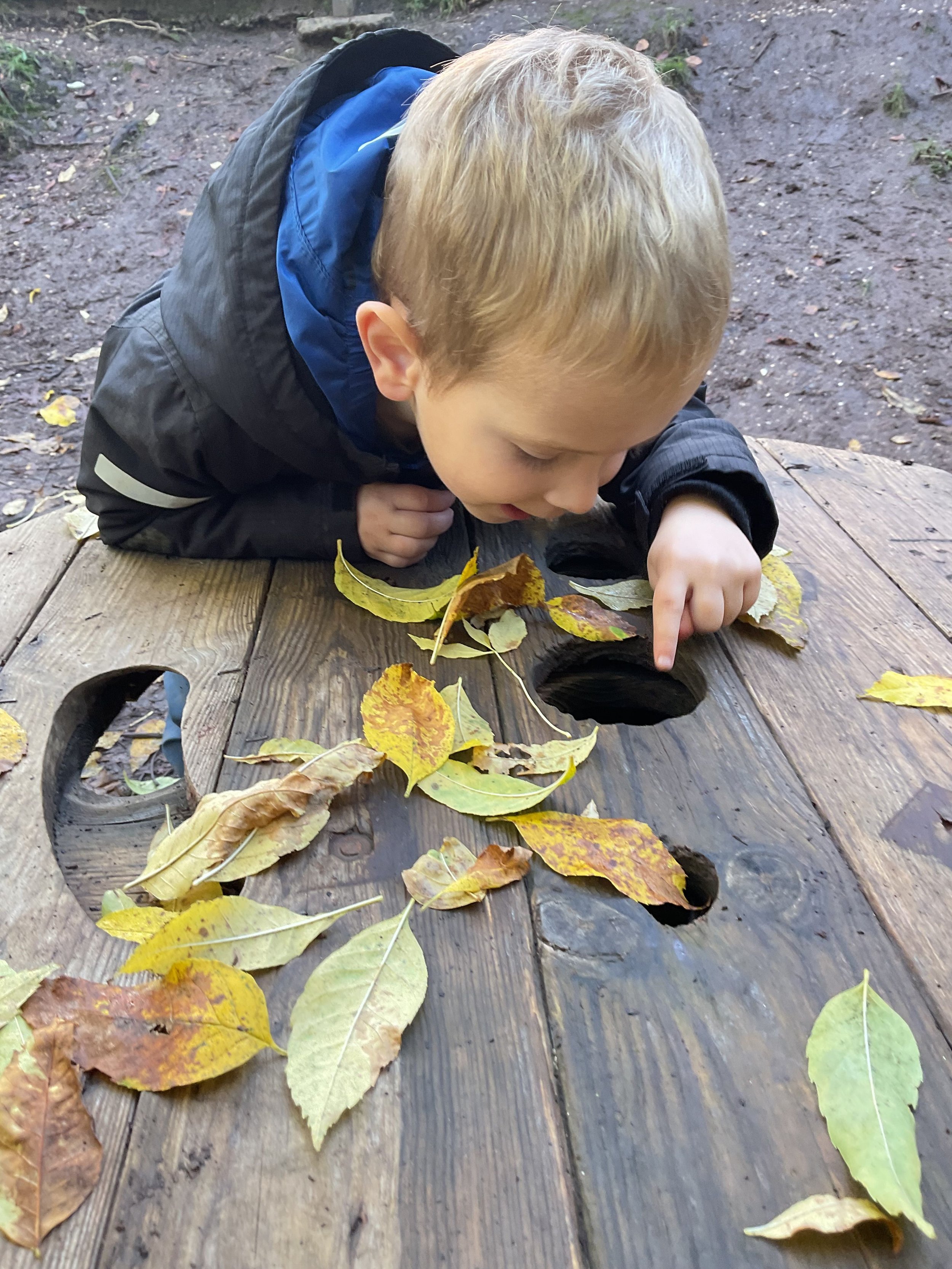 Newsletter Toddlers 1.jpeg