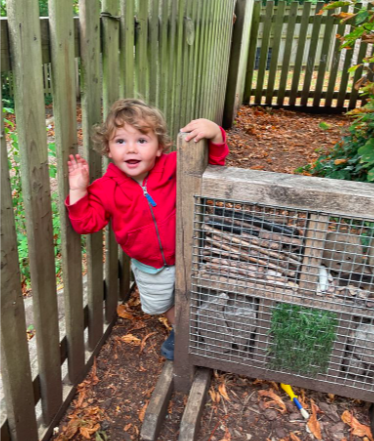 Screenshot 2025-07-29 at 12.18.43.png