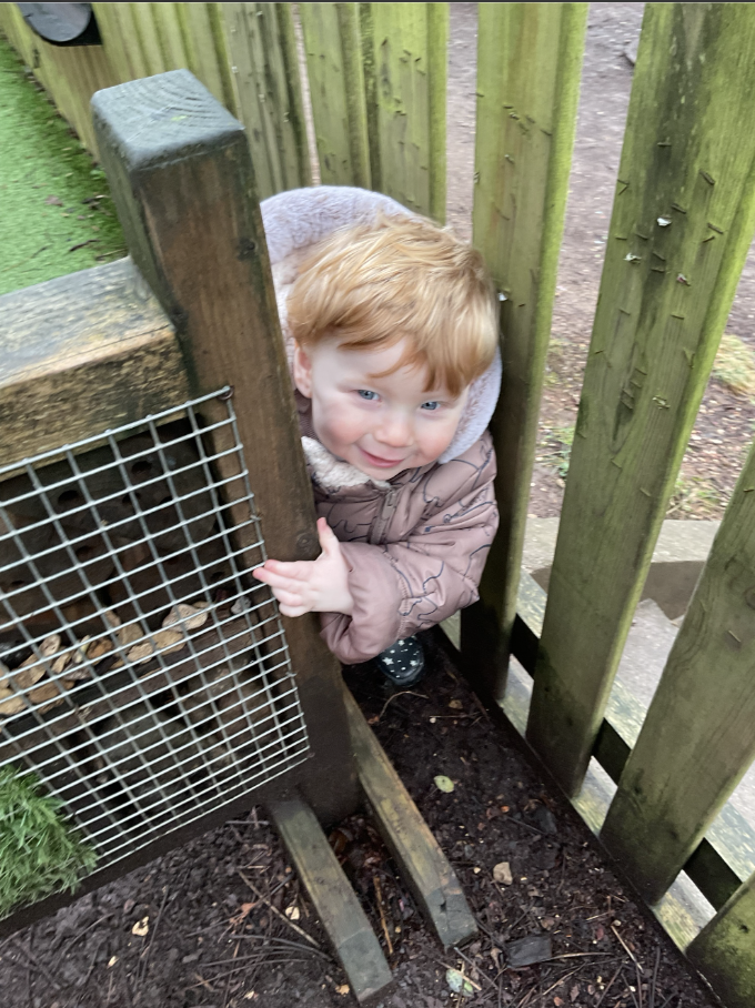 Screenshot 2026-02-03 at 13.38.15.png