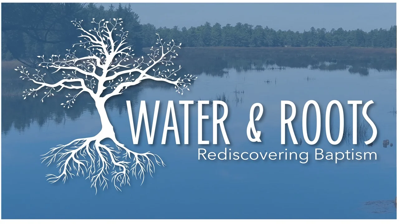 Water & Roots.jpg