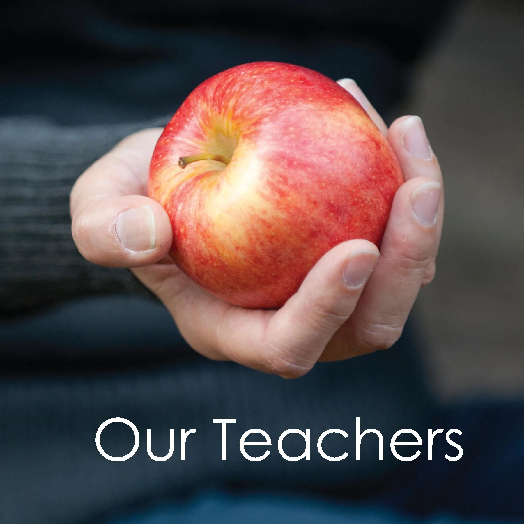 Our Teachers.jpg