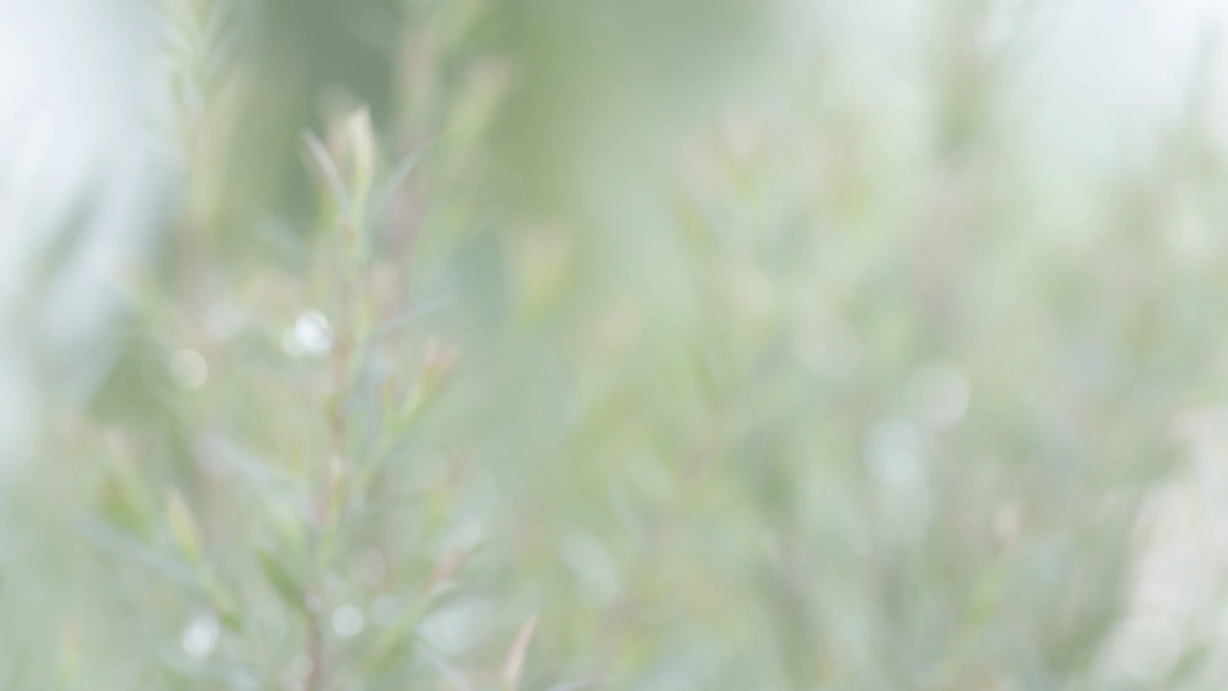 iStock-1415763977.jpg