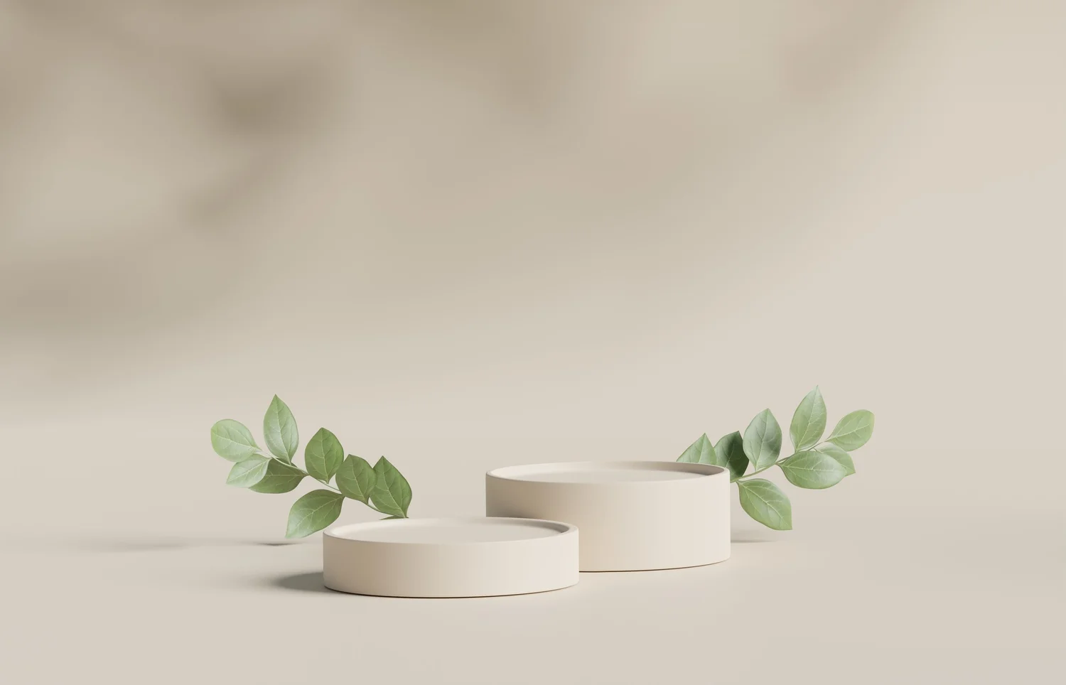 Willow Family Medicine