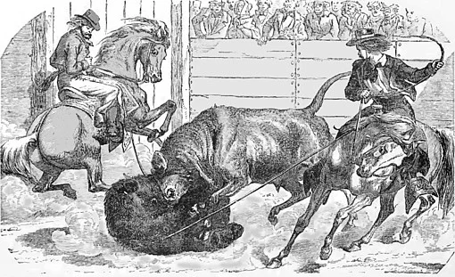 Bull and bear fighting was a popular pastime in William Richardson’s day.