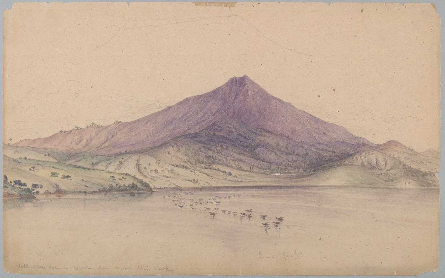 Watercolor painting of Mount Tamalpais, by William McMurtrie, 1855. Source: Wikimedia