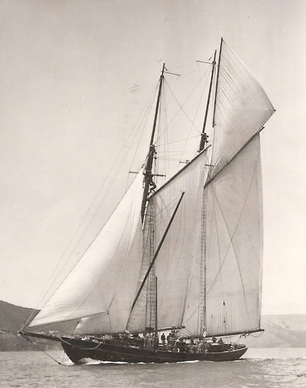 The Zaca in all her glory. Photo courtesy of Sausalito Historical Society