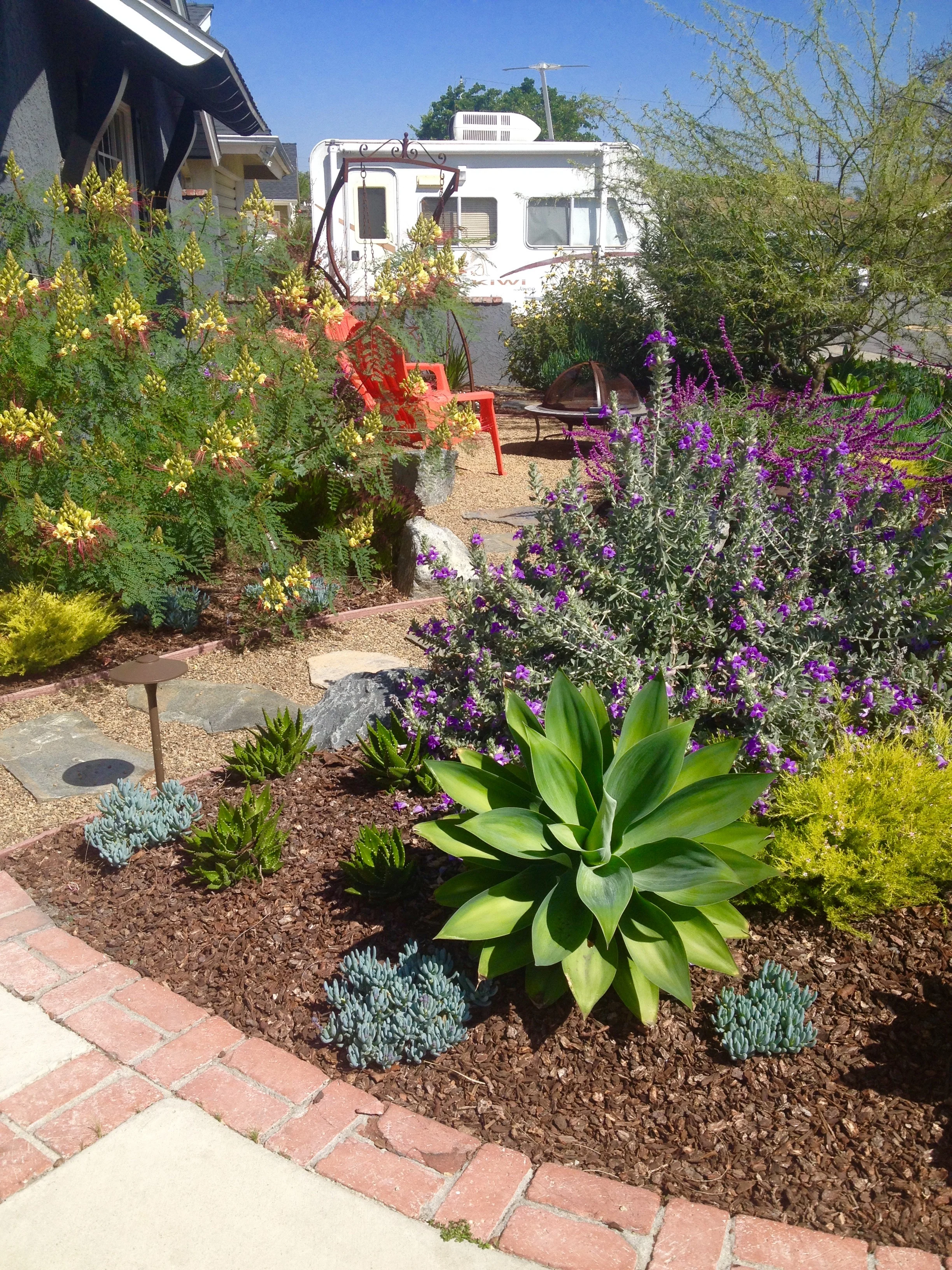 Grass To Garden — The Plant Nerd™