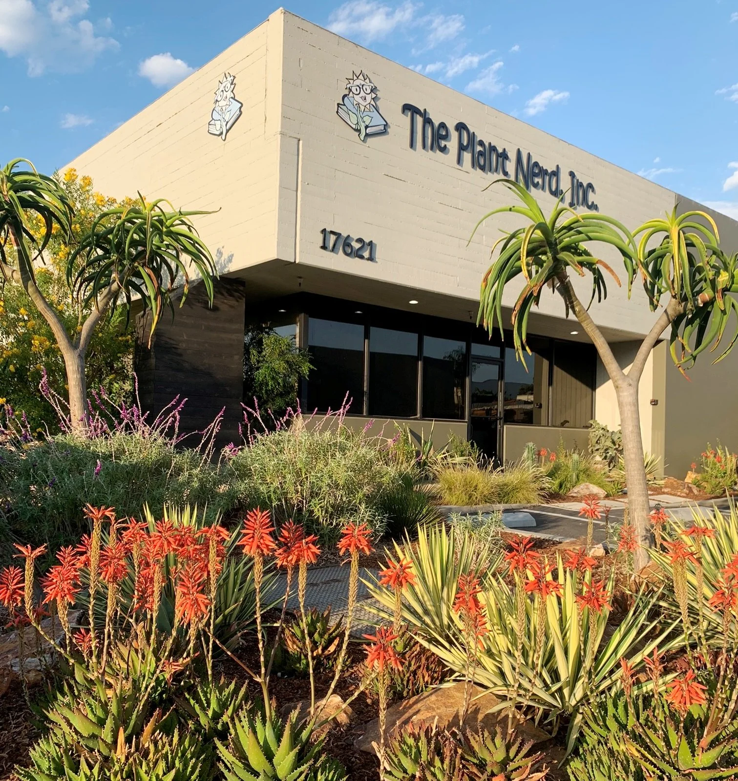 Great Building Shot.JPEG