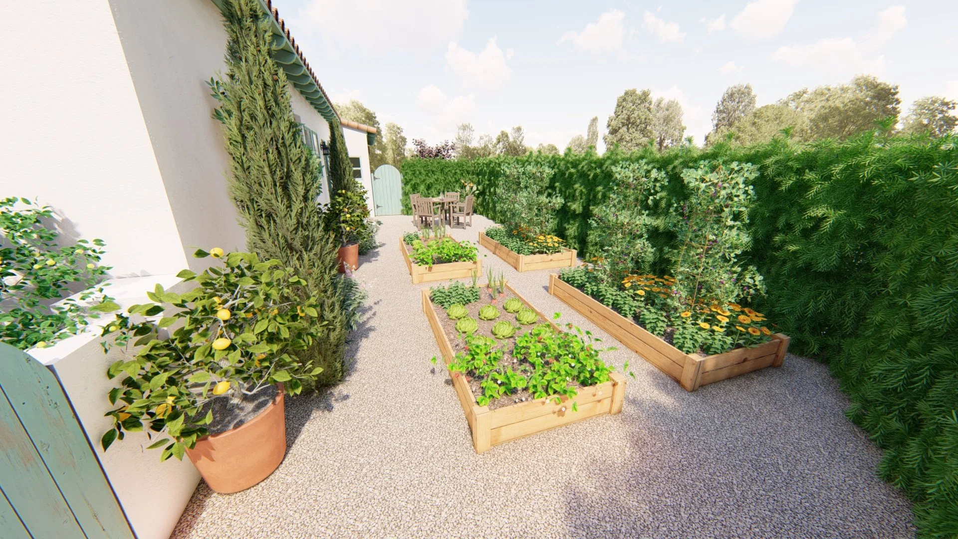 Adam Pear_14 - Photo.jpg