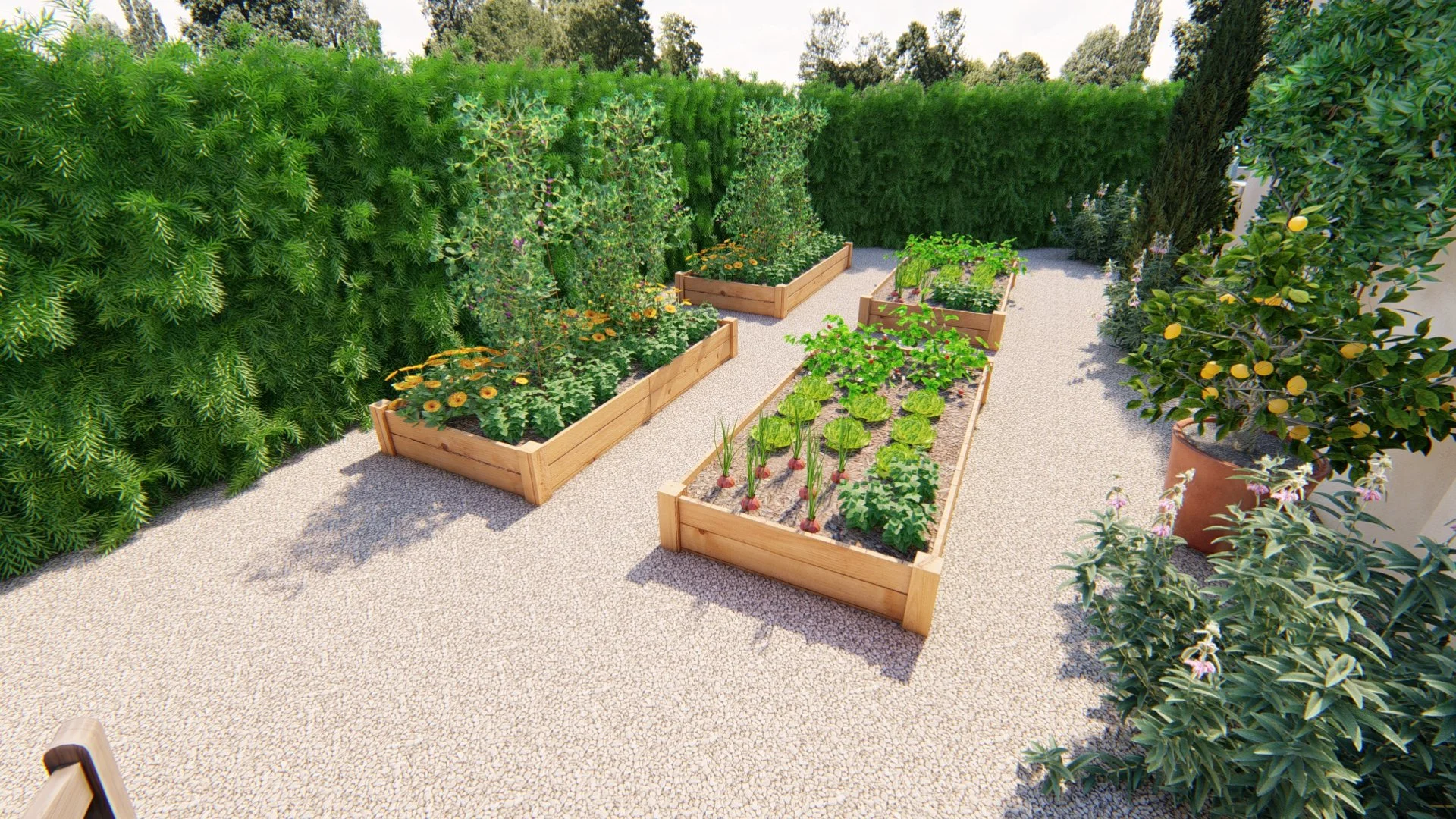 Adam Pear_19 - Photo.jpg