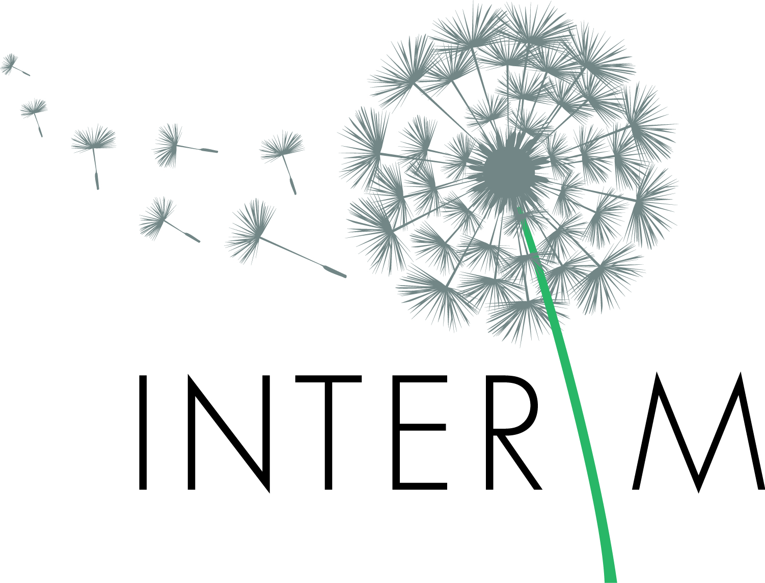 INTERIM