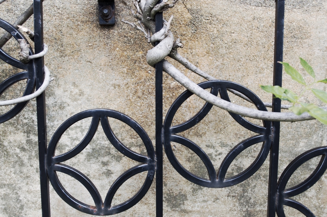 Wisteria Trellis Detail