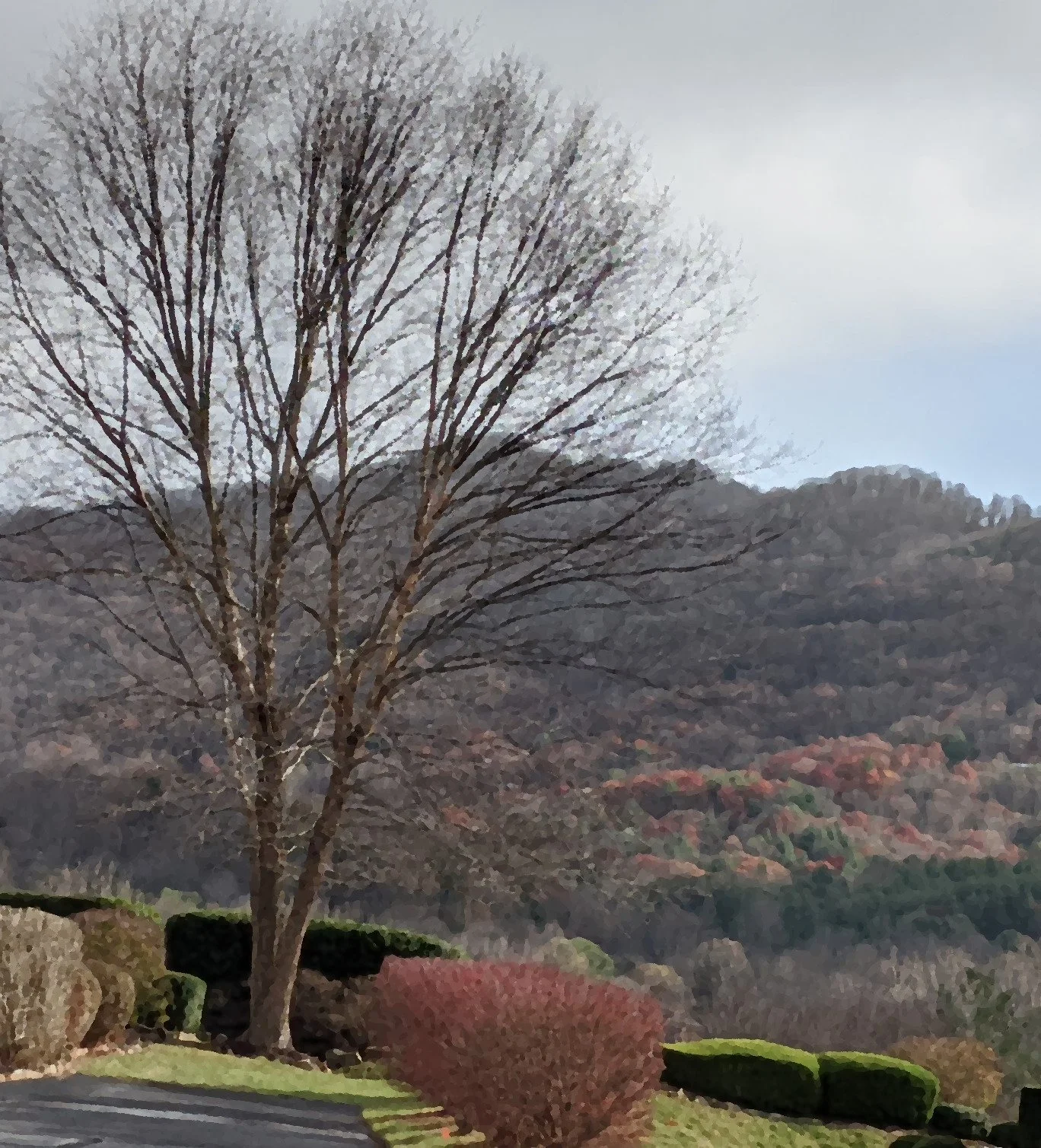 Are we more thankful on Thanksgiving?