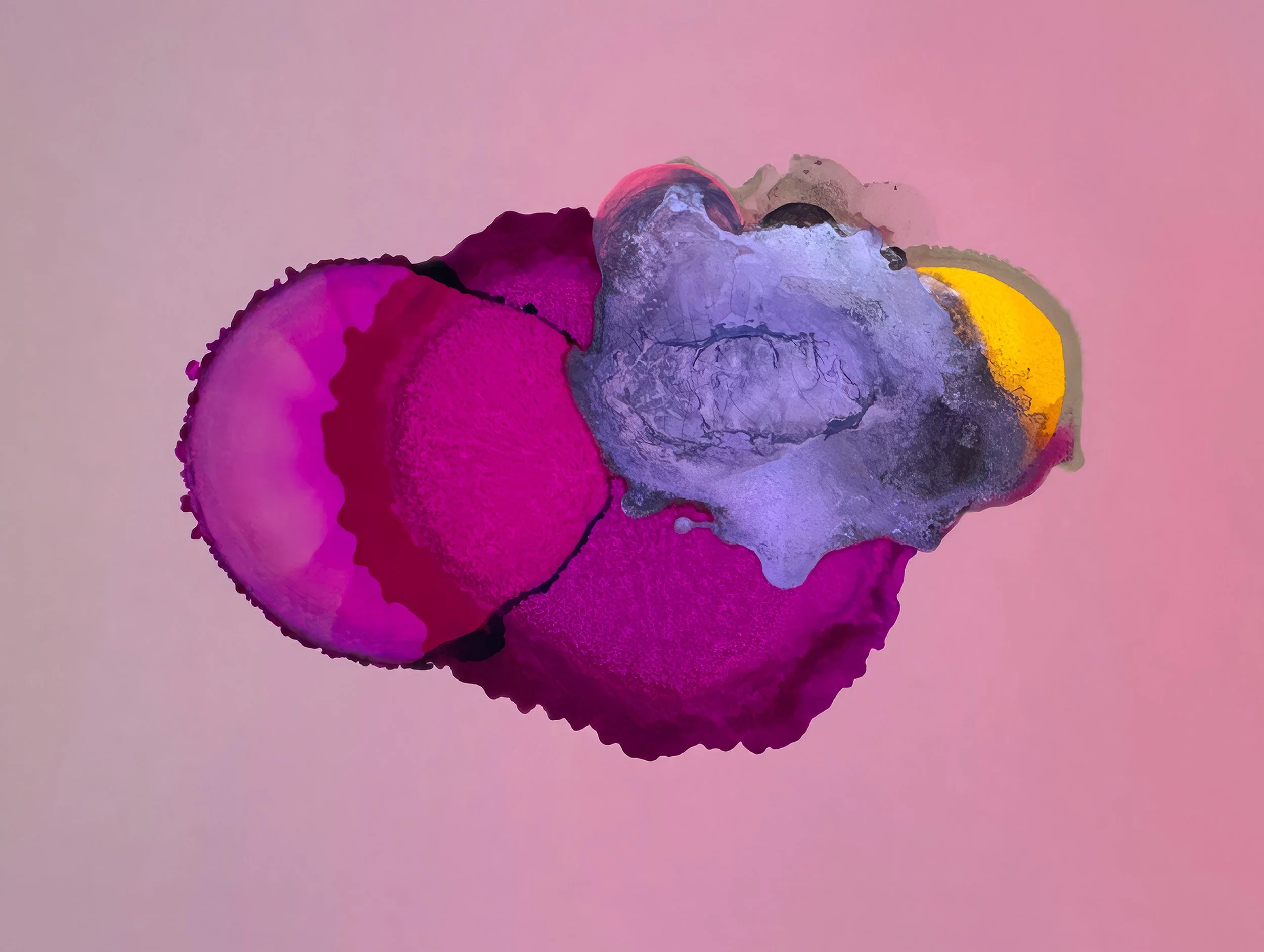 bloom_02