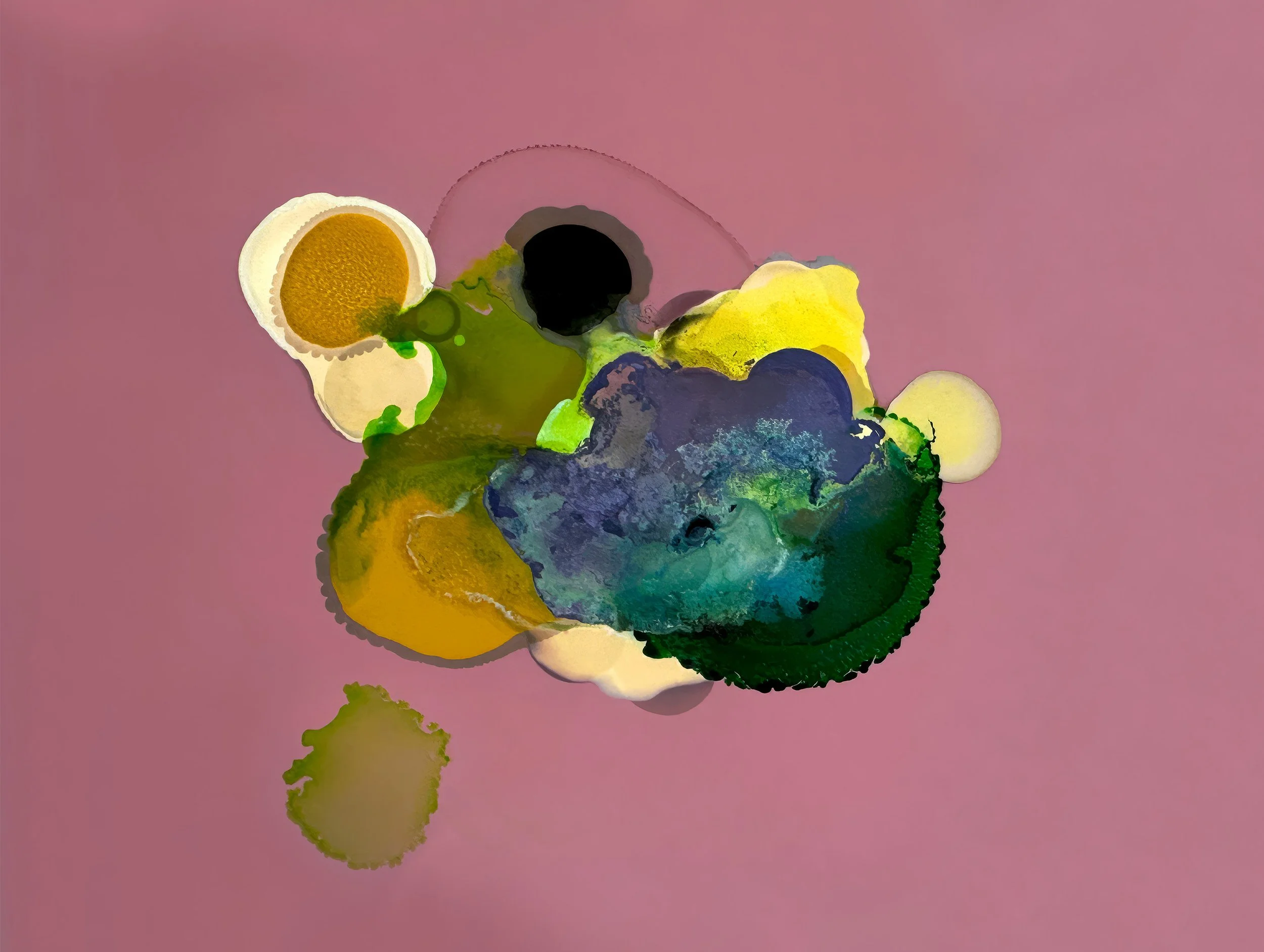 bloom_08