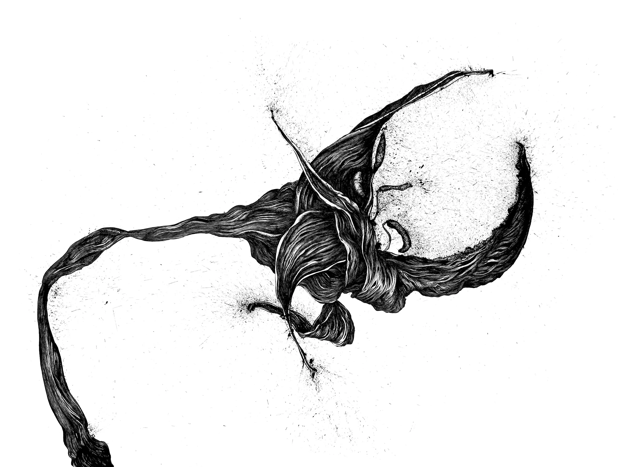 lillies-for-ondrea_JustinFrancavilla.jpg