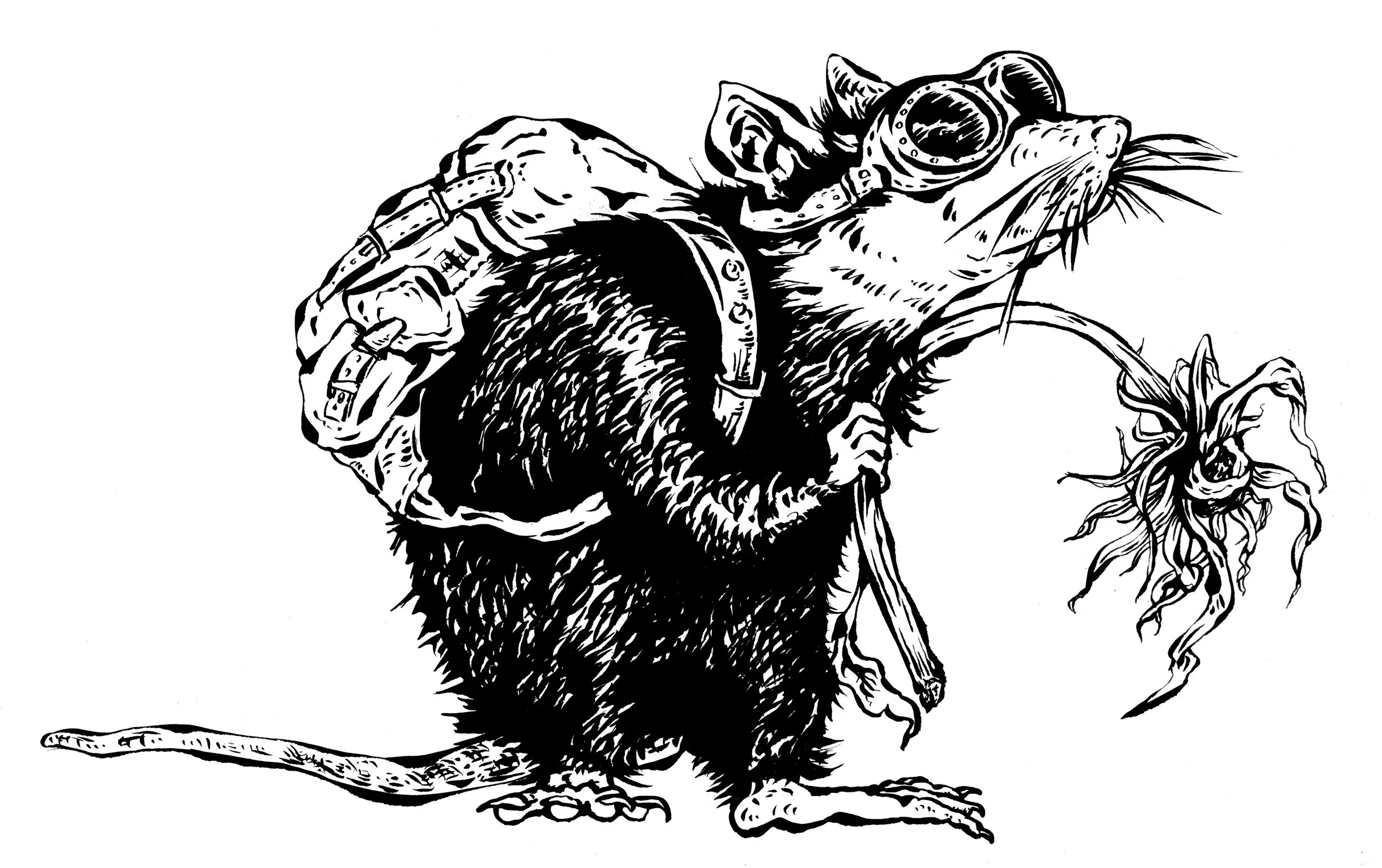 Travel Rat